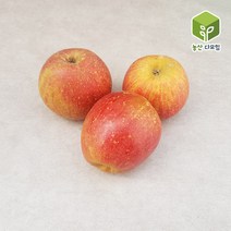장수거창함양 흠집 꼬마사과 45-70과 10kg 가정용, 단품