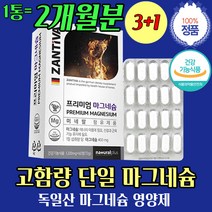 고함량 마그네슘 부족 증상 청소년 군인 약 2개 월분 군대 독일 단일제 미네랄 고시행 수험생 수능생 재수생 대학생