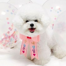 핑크캔디 강아지 고양이 리본화환 생일파티 강아지화환, 리본화환(컬러밴드)_핑크(레인보우)