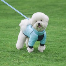강아지 명품 발열패딩 하네스일체형 입히기쉬운 롱 이지웨어 겨울산책 방수 방한복 삼삼, 홀로그램핑크