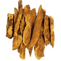건강중심 장수 상황버섯 250g, 1개입