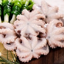 산지직송 국내산 서해안 냉동 생물 활 쭈꾸미 신선급냉 500g, 01_ 500g