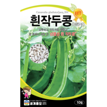 콩 옥수수 씨앗 강낭콩 작두콩 서리태 호랑이콩 종자 백태 땅콩 율무 녹두 팥 완두콩 씨, 14. 백작두콩(넝쿨)5립