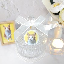 강아지 스톤함 고양이 유골함 추모함 반려동물 애견 메모리얼 스톤 루세떼 보관함, 핑크, 추가