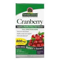 네이처스앤서 크랜베리 400mg 90캡슐 x 1통
