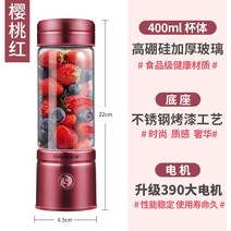 해외 휴대용 녹즙기 가정용 과일소형 다기능 전자동 튀김기 미니-35935, 단일옵션, 옵션04