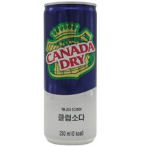 캐나다 드라이 클럽소다 250ml 8개