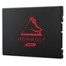 씨게이트 아이언울프125 SSD 나스 서버 전용 2.5인치 250GB 500GB 1TB 2TB 4TB