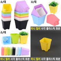 플라스틱화분 소 옐로우 텃밭상자 나무화분 실내정원