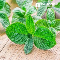 [팸쿡] 가락시장직송 애플민트 500g 내외, 상세 설명 참조