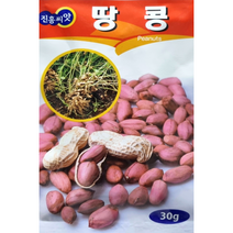 땅콩씨앗30g 진흥종묘 병에 강하고 수량성 우수하여 재배하기 쉬운 품종입니다, 1개