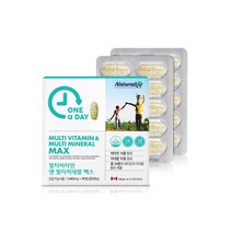 네추럴라이즈 원어데이 멀티비타민 앤 멀티미네랄 맥스 1 445mg x 90정, 2개