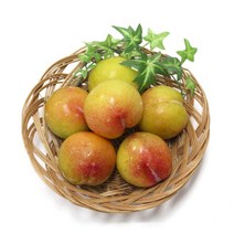 가을 추희 자두 2kg내외, *I182_가을 추희 자두 2kg내외(100g내외)