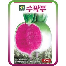 수박무씨앗 100립 채소종자 안토시아닌풍부 과일무 무씨