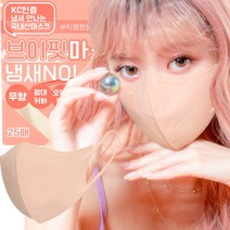 에어에이드 브이핏 국내생산 새부리형마스크 숨쉬기편한 일회용마스크 컬러마스크 중형 대형 마스크, 중형 블러쉬베이지 50매