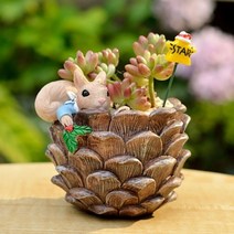 ROOGO 루고 화분 다람쥐 파티 솔방울냠냠