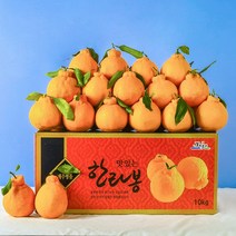 [당도보장] 달콤한 제주 한라봉 2.5kg 5kg 10kg 선물세트 제주도 한라봉 벌크형, 1box, 5kg 21-25과