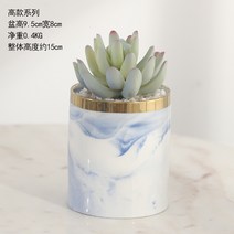 선인장 조화 화분 사무실 책상 거실 침실 테이블 인테리어 실크플라워 미니 화분, 키가 큰 화분 A