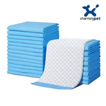 차밍펫 애견패드 강아지배변패드 대형 소형 거품쫙뺀 패드, L(대형) - 60 x 60(40장), 경제형, 60개, 1개