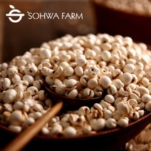 2022년무농약율무쌀 인기 상품 중에서 필수 아이템을 찾아보세요
