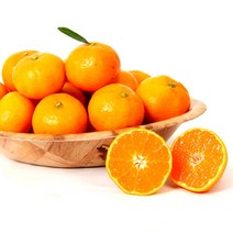 [올레돌밭농원] 23년 제주직송 햇 하우스감귤 1.5kg 2.5kg 4.5kg 가정용, 4.5Kg (꼬마소과), 1개