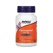 나우푸드 피크노제놀 100mg 60정 해송 약들약 고약사, 1개, 기본