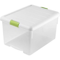 창신 점보리빙박스 화이트 그린 60L, 1개
