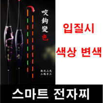[아프리카피싱] 스마트 전자찌 나노신소재 입질시 색상변색 하우스 내림 바닥, 9목-스마트찌탑(몸통 제외)
