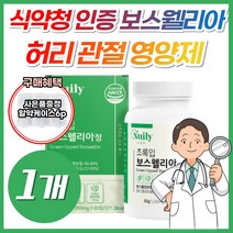 NWC 식약처 인도 보스웰리아 유향 나무 프랑킨센스 KBA + AKBA 관절 연골 홈쇼핑 보수 보스 엘리아 엘리아 웰리아 벨리아 웰리스 웰 무릅 어깨 허리 관절 에좋은 영양제 추천, 1개, *할인* 초록입보스웰리아60정 (1개월분)