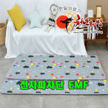 한일의료기 탄소피복 침대용 카본 온열매트 전자파걱정없는 EMF인증 전기매트 6종선택, 옥스타, 싱글