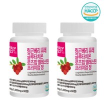 링곤베리 글루타치온 퓨레 기미 2개월 검버섯 활성산소 강민경 권장량 패치 원산지 효과 효능, 2통 120정 4개월분