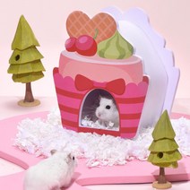 바우마켓 햄스터 케이크 하우스 딸기, 혼합색상, 1개