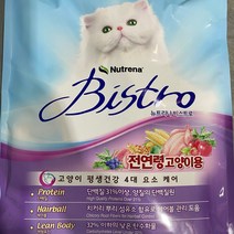 뉴트리나 비스트로 고양이 사료 6kg 300gx20봉, 본상품선택