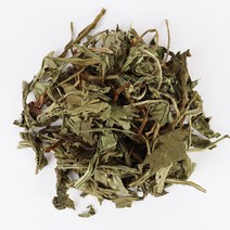 자연닮음 국산 민들레 포공영 300g, 1개