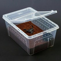 육지거북이사육장 거북이쉼터 거북이은신처 S/M/LPlastic 파충류 생활 상자 테라리움 투명 곤충 용기 운송, 01 S