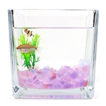 핑크 퍼플 컬러 돌 유리 자갈 250g 어항 꾸미기 구피, 믹스퍼플돌