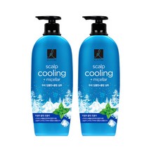 ES 두피딥클린 쿨링 샴푸 680ml 2개