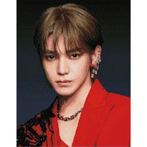 NCT 태용 (캔버스) 보석십자수 40x50, 단품