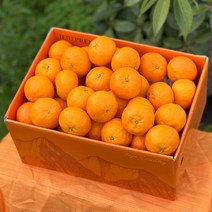 [당도선별과] 제주 카라향 선물용 가정용, a. 2kg(랜덤과), 1개