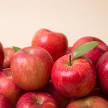 착한식탁 주스용 사과 10kg 랜덤과, [단일상품]