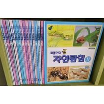 교원 - 꾀돌이 자연탐험