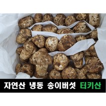 송이버섯 자연산 냉동 터키산, 4등급(20송이내외, 모양크기랜덤), 1kg