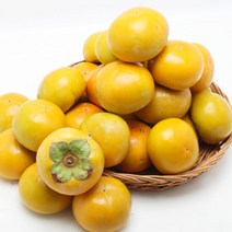 [산지직송] 경남 창원 북면 단감 5kg 21-23과내, 단품