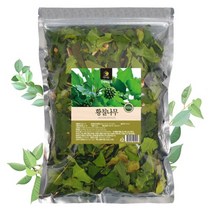 국산 나무인삼 황칠나무건재 (500g) 상쾌한향 황칠나무차