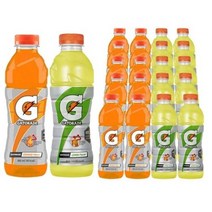 게토레이 오렌지&레몬 600ml X 각10개(총20개) 이온음료 스포츠음료 온동전후 수분섭취 갈증해소 음료수, 40개