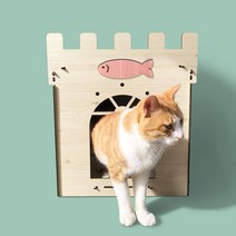 (나룸) DCH-002 DIY 부비부비 고양이 하우스, 송도상점 DCH-002 그린