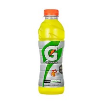 칠성 게토레이 레몬 음료수 600ml 20펫 이온음료, 1세트