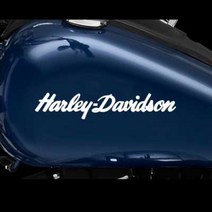 할리데이비슨 필기체로고 스티커 hd_29, 노란색