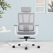 린백 LB256SHA 사무용 컴퓨터 책상 학생 의자, LB256SHAW(화이트바디)_그레이