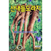 백도라지씨앗1000립 KS종묘 흰 꽃의 재래종 도라지에서 선발한 토종 백도라지